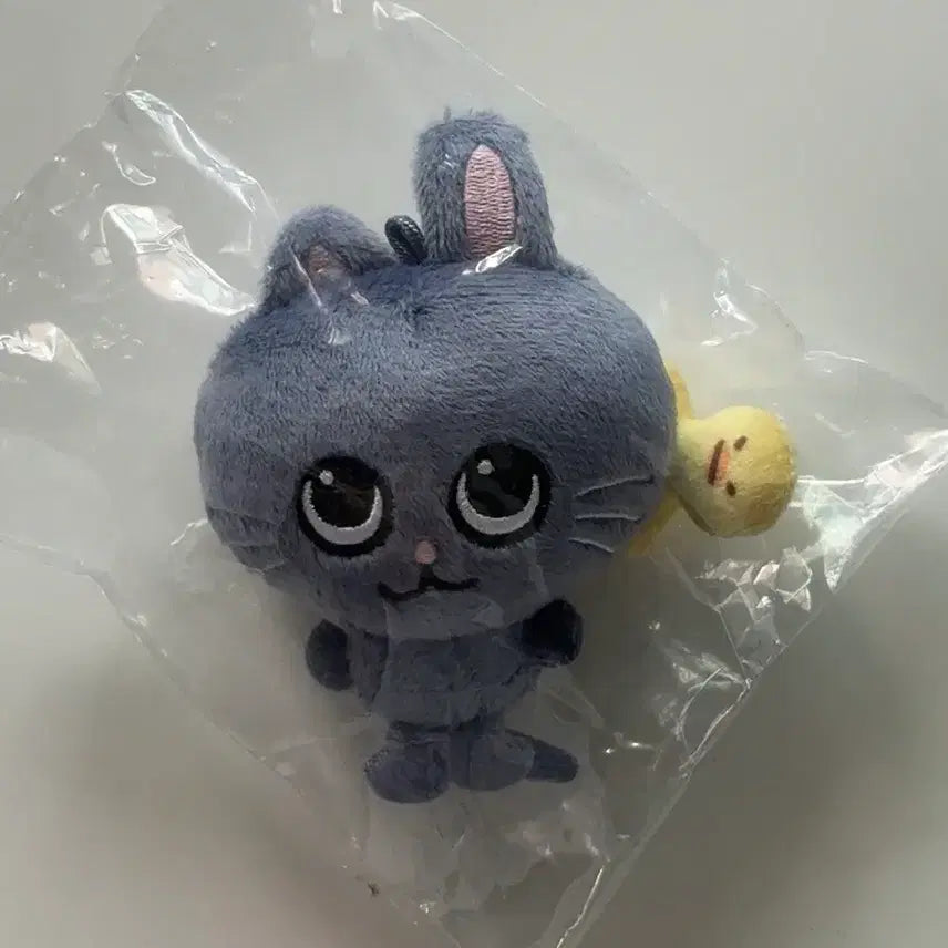 [BUNJANG] Shanghai Big Head Tto-nyangdeok Doll / 상하이 대두 토냥덕 인형