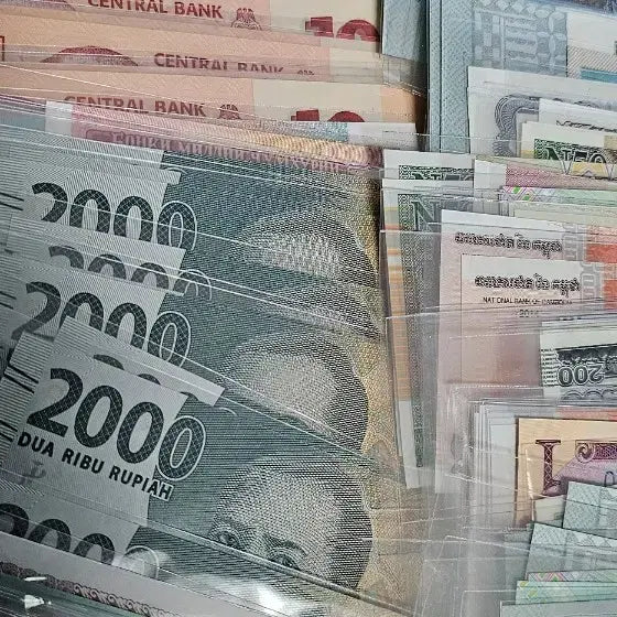 [BUNJANG] Unused World Currency Collection (275 Notes, Sequential Bills Included) / (미사용) 세계 여러 국가 화폐 275장 (연번 지폐 포함)