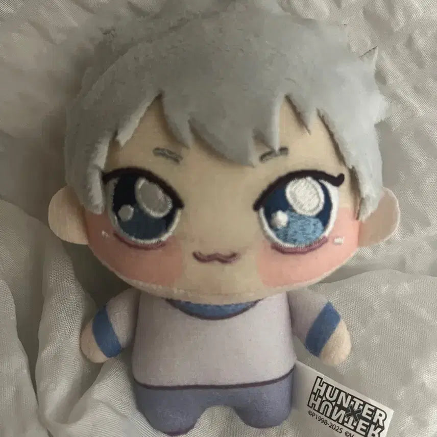 [BUNJANG] Hunter x Hunter Killua Zoldyck Chocopinui Plush / 헌터헌터 키르아 조르딕 쵸피누이