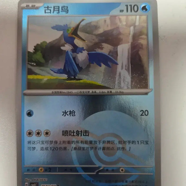[BUNJANG] Chinese Edition Pokemon Card &