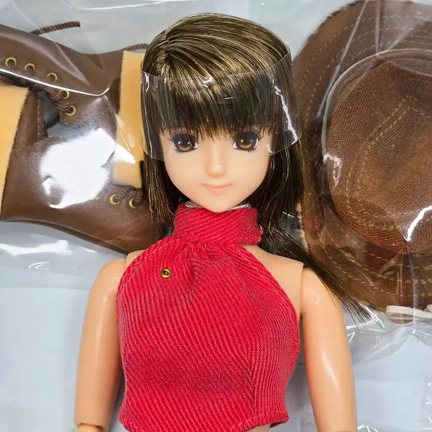 [BUNJANG] AZONE Original Doll Aoki Chihaya Edition Minako Articulated Doll / AZONE 아존 오리지널돌 아오키 치하야 에디션 미나코 관절인형 육일돌