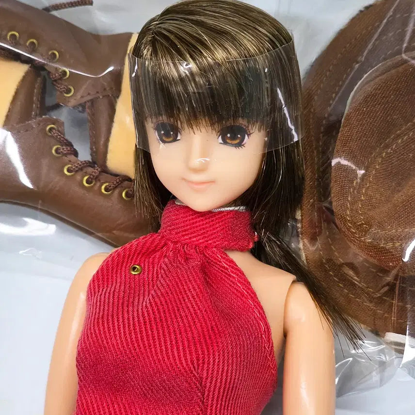 [BUNJANG] AZONE Original Doll Aoki Chihaya Edition Minako Articulated Doll / AZONE 아존 오리지널돌 아오키 치하야 에디션 미나코 관절인형 육일돌