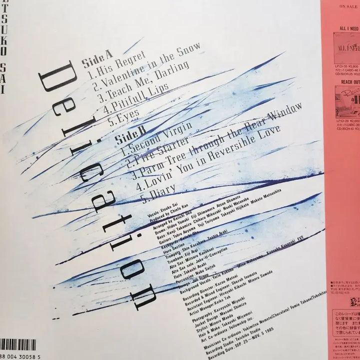 [BUNJANG] Etsuko Sai Delication LP Vinyl / 시티팝 사이 에츠코 Etsuko Sai Delication LP