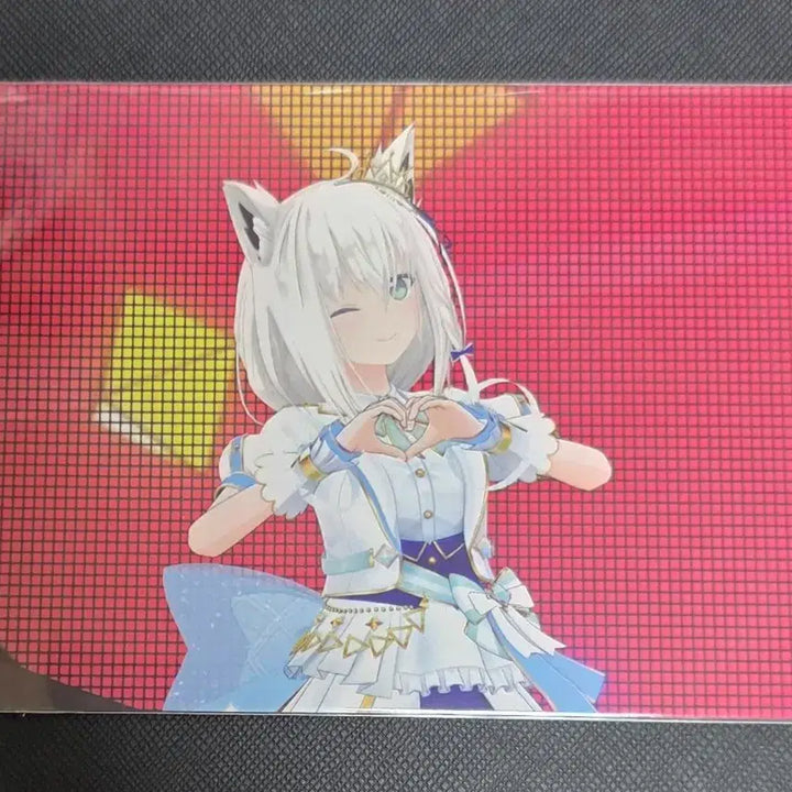 [BUNJANG] Hololive 4th Fes Shirakami Fubuki Live Photo 