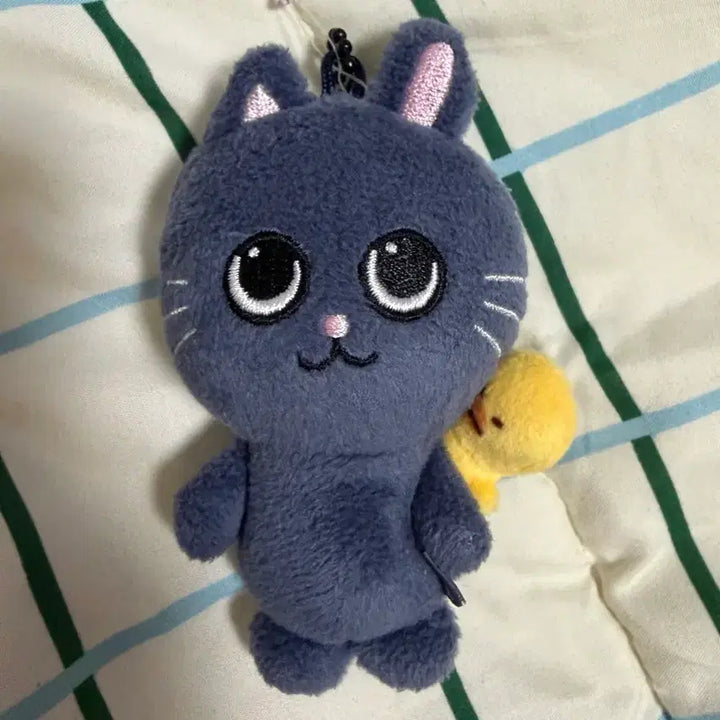[BUNJANG] RIIZE TONYANGDEOK 8cm Plush Doll / 라이즈 토냥덕 8cm