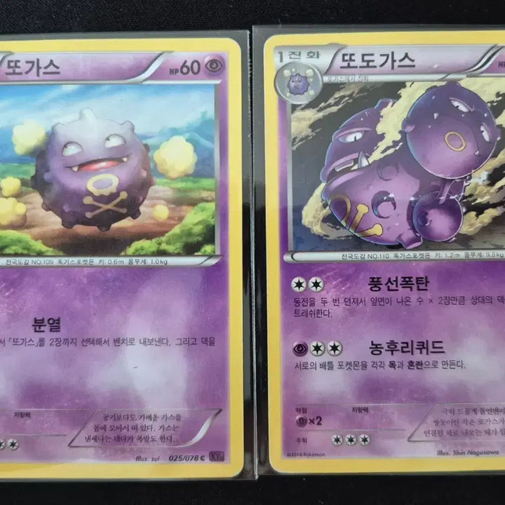 [BUNJANG] Pokemon XY Series Gastly/Haunter Evolution Set / XY시리즈 포켓몬 카드 또가스/또도가스 2종 진화 세트