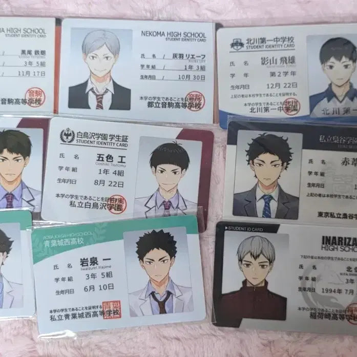 [BUNJANG] Haikyuu Rimuyu Student ID Card Bundle Set / 하이큐 리무무님 학생증 일괄