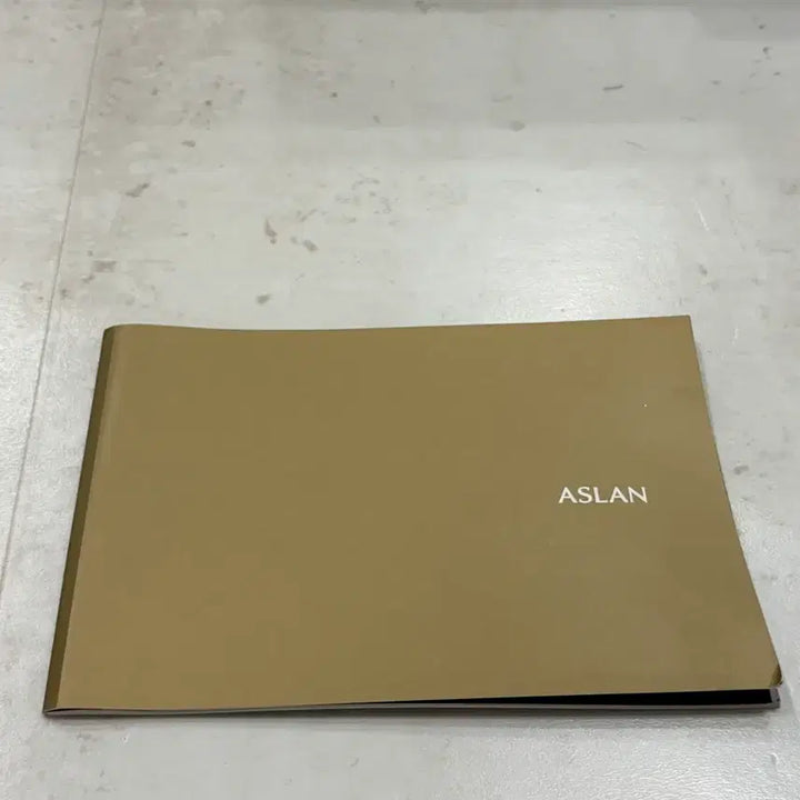[BUNJANG] Hyundai Aslan Gold Catalog / 현대 아슬란 금색 카탈로그