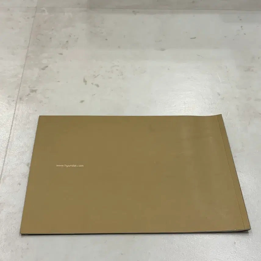 [BUNJANG] Hyundai Aslan Gold Catalog / 현대 아슬란 금색 카탈로그