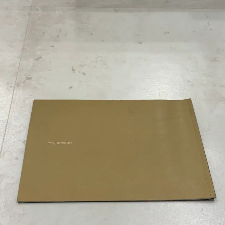 [BUNJANG] Hyundai Aslan Gold Catalog / 현대 아슬란 금색 카탈로그