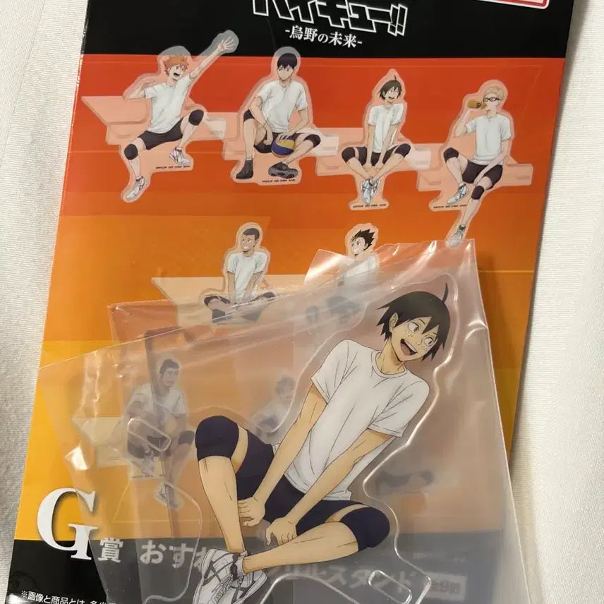 [BUNJANG] Haikyuu!! Karasuno High School&