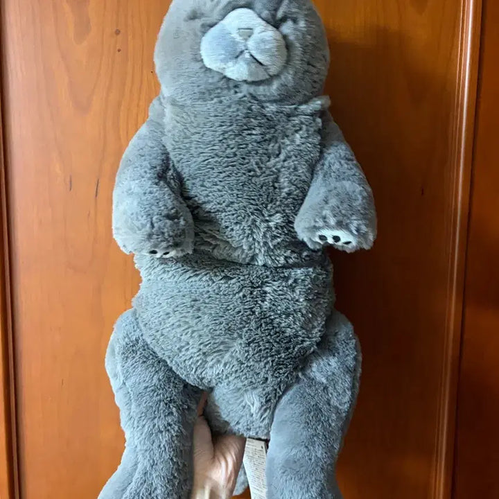[BUNJANG] Sun Lemon Sleeping Cat Plush Russian Blue Large / 선레몬 잠자는 쓰야쓰야 고양이 인형 러시안블루 대형