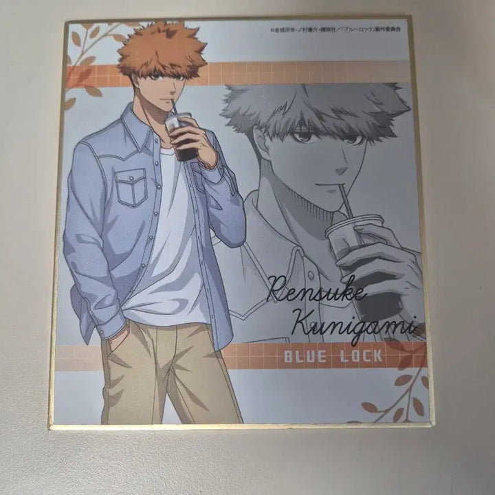 [BUNJANG] Blue Lock Kunigami Plush, Casual Wear Shikishi / 블루록 쿠니가미 누이, 사복 색지