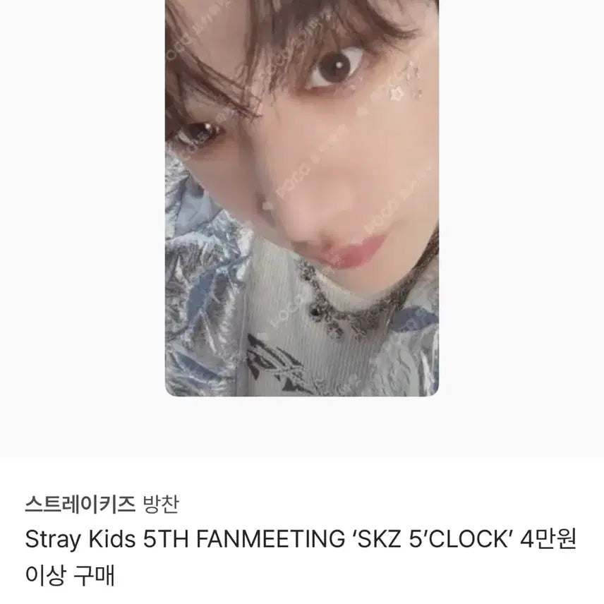 [BUNJANG] Stray Kids 5th Fanmeeting Bang Chan POB / Stray Kids 5th FANMETTING 4만원이상 특전 방찬