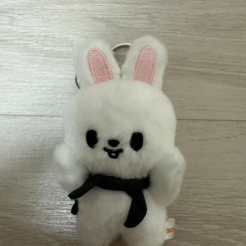 [BUNJANG] Stray Kids Ribbit Magnet Keyring (Lee Know) / 스키즈 스트레이키즈 스키주 마그넷 키링 나안아 리빗
