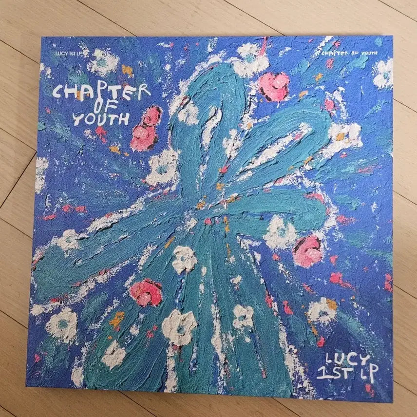 [BUNJANG] Lucy LP Vinyl Record / 루시 LP 양도