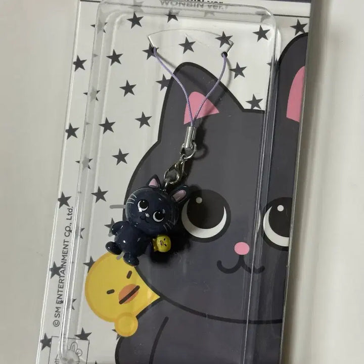 [BUNJANG] RIIZE Popup Archive 2 Resin Keychain A Ver. (TONGYANGDEOK) / 라이즈 팝업 archiive2 레진키링 a버전 토냥덕