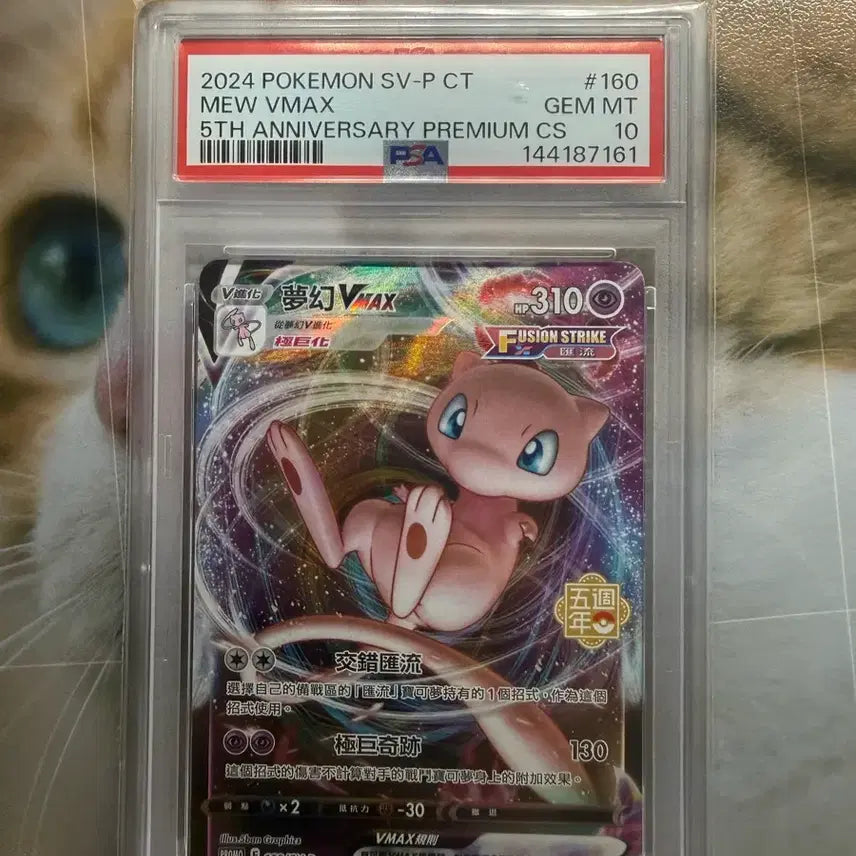 [BUNJANG] Mewtwo, Mew, Pikachu PSA 10 Graded Cards / 뮤츠,뮤,피카츄 psa10 급처
