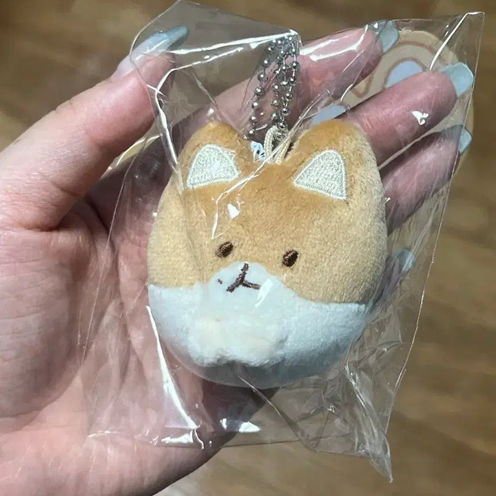 [BUNJANG] Baekhyun "Teolagi" Plush Doll Bundle Set / 백현 터래기 인형 일괄 양도해요