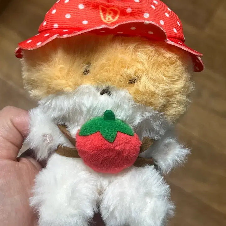 [BUNJANG] Baekhyun "Teolagi" Plush Doll Bundle Set / 백현 터래기 인형 일괄 양도해요