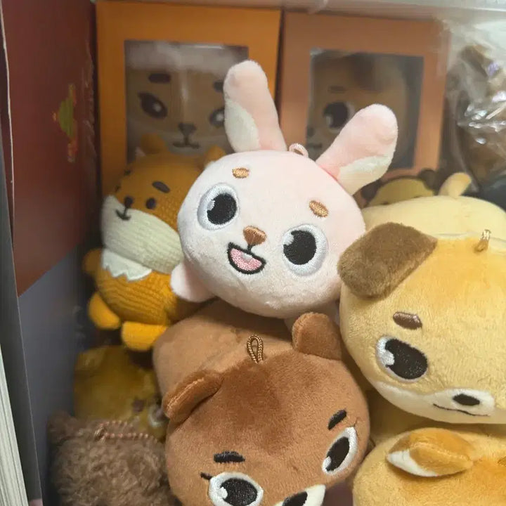 [BUNJANG] Denimals Knit Case / 데이식스 데니멀즈 니트 케