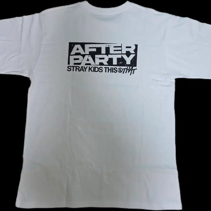 [BUNJANG] Stray Kids SKZ THIS DOES NOT COMPUTE After Party Special Gift T-Shirt Bundle / 스트레이키즈 스키즈 디스앤댓 애프터파티 역조공 티셔츠