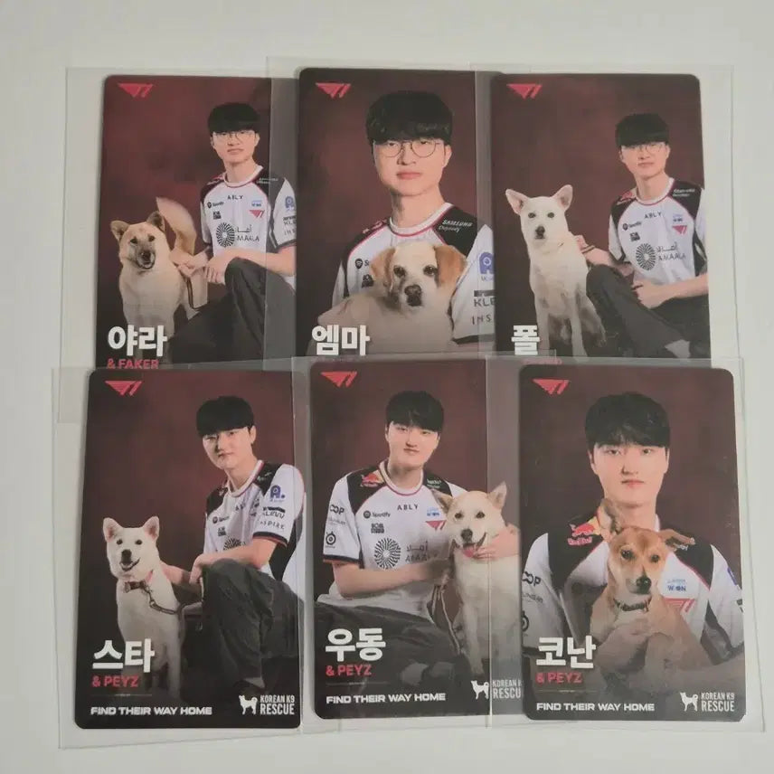 [BUNJANG] T1 Faker &amp; Peyz Photocards Bundle Set / T1 티원 홈그라운드 홈그 kk9r 강아지 페이커 faker 페이즈 peyz 포카 판매