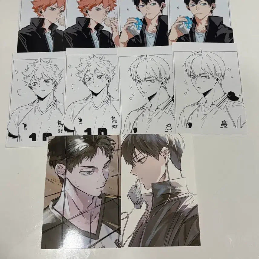 [BUNJANG] Haikyuu!! Printing Box Art - Ana &amp; Bok-eo / 하이큐 프린팅박스 프박 아나님 복어님