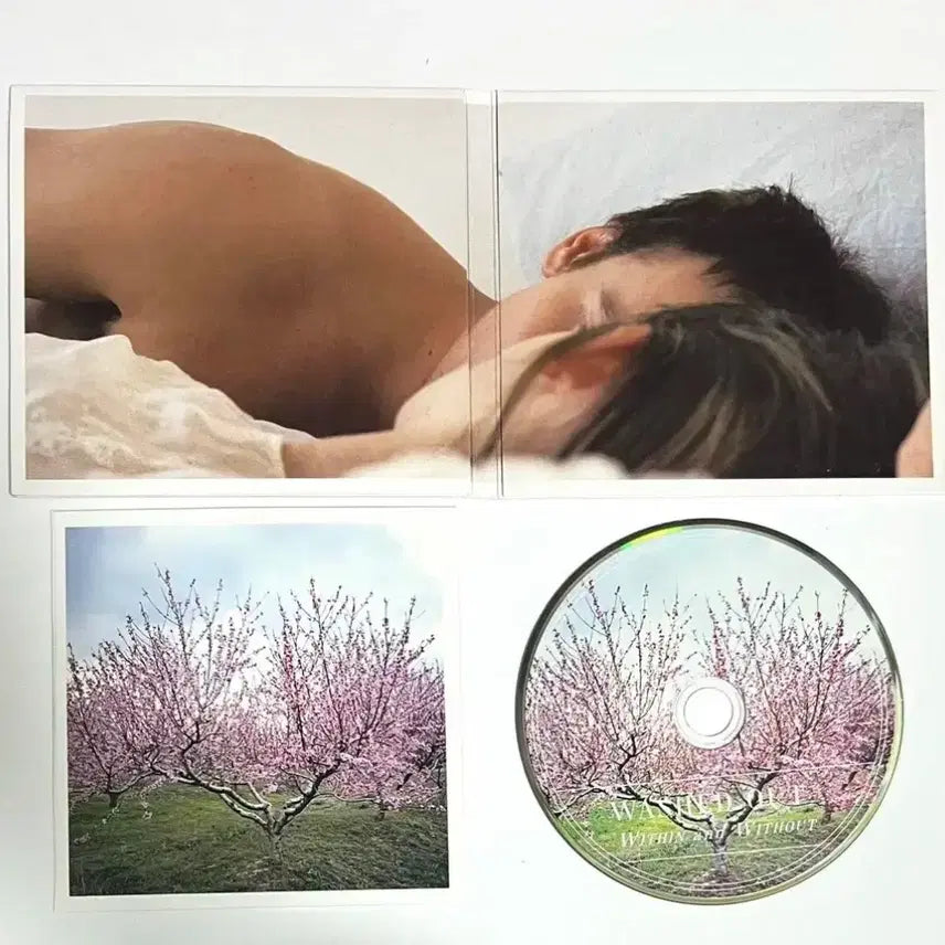 [BUNJANG] Washed Out Within and Without Album CD / 워시드 아웃 Within and Without 앨범 시디 CD