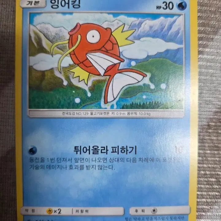 [BUNJANG] Pokemon Card Magikarp Basic SM3N 008/051 Grade A / 포켓몬 카드 잉어킹 기본 SM3N 008/051 A급