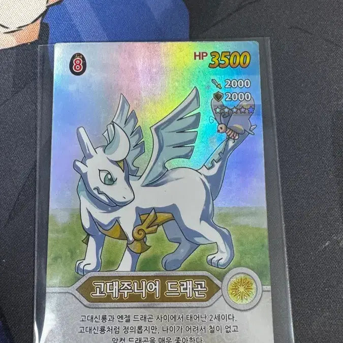 [BUNJANG] Dragon Village Card Collection / 옛날 드래곤빌리지 카드 팔아요