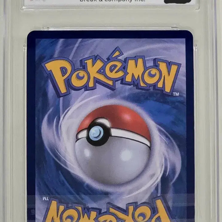 [BUNJANG] Pokemon Card Terrastal Eevee SAR BRG 10 / 포켓몬카드 테라스탈 이브이 SAR BRG 10