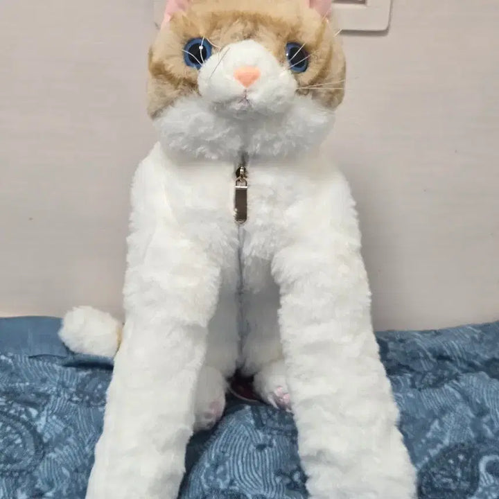 [BUNJANG] Cutie Cat Scarf Doll 55cm / 큐티캣 목도리 인형 55cm