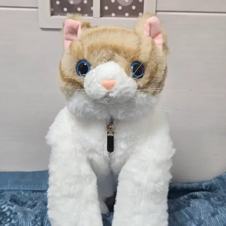 [BUNJANG] Cutie Cat Scarf Doll 55cm / 큐티캣 목도리 인형 55cm