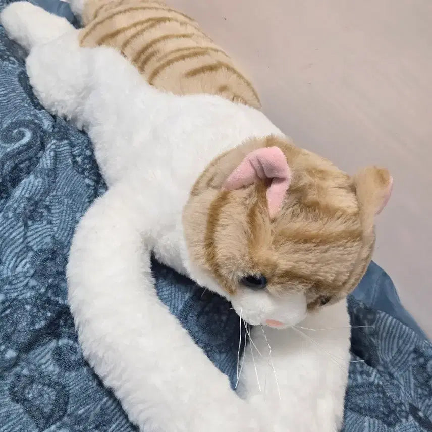[BUNJANG] Cutie Cat Scarf Doll 55cm / 큐티캣 목도리 인형 55cm