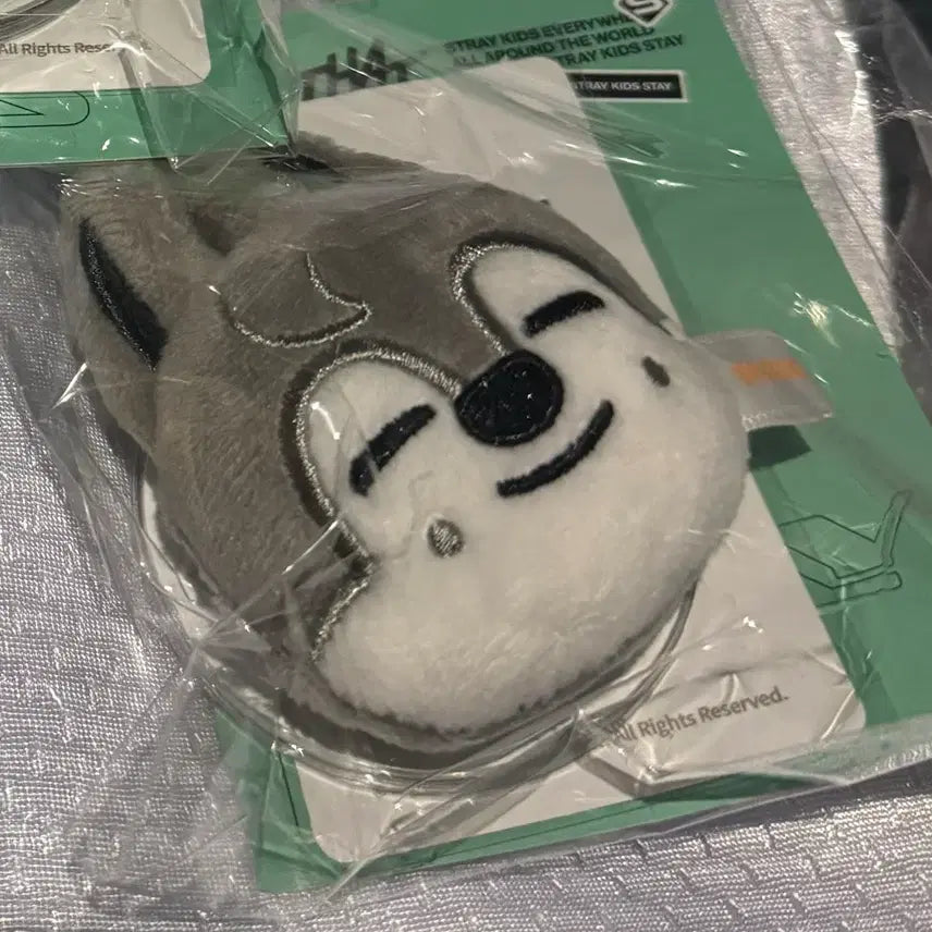 [BUNJANG] Stray Kids Wolfchan Magnetic Holder Grip Tok / (포카x) 스트레이키즈 스키즈 straykids this&amp;that 팝업 마그네틱 홀더 그립톡울프찬