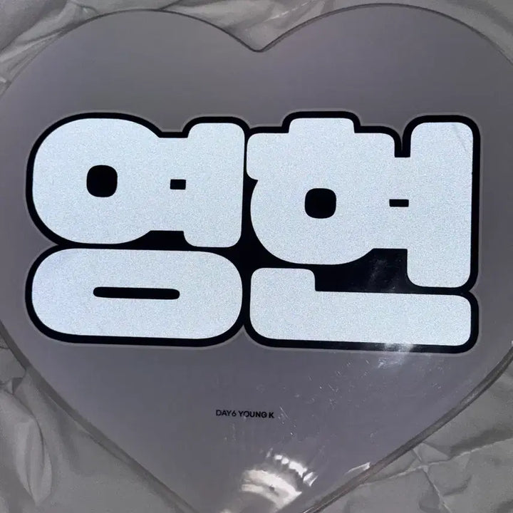 [BUNJANG] DAY6 Young K Choco Cat Uchiwa / 영케이 초코캣 우치와