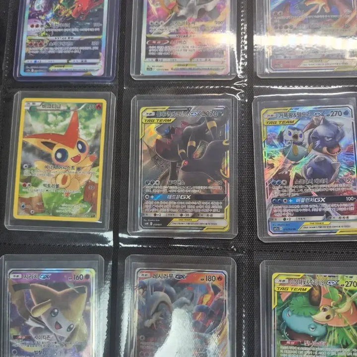 [BUNJANG] Pokémon Card Collection / 포켓몬 카드 정리중