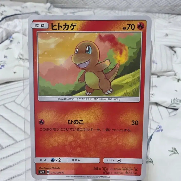 [BUNJANG] Tag Bolt Charizard 011/095 / [ 태그볼트 ] 파이리 ( 일판 ) 011/095 -고대카드