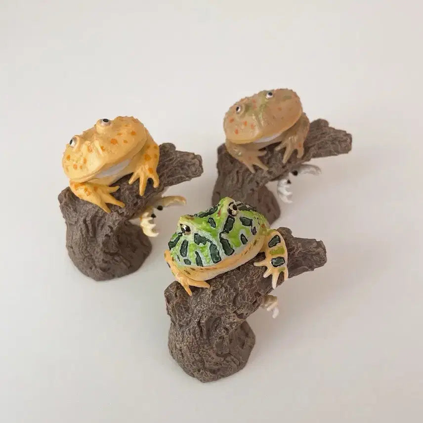 [BUNJANG] Bandai Finger Habitat Collection Frog 3 Types Bundle Set / [급처/일괄] 반다이 생물대도감 손가락 위 컬렉션 가챠 개구리 3종