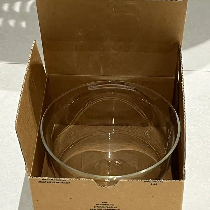 [BUNJANG] Park Hyo Shin 2016 KiNTO JAPAN Glass Bowl / 박효신 2016 굿즈 KiNTO JAPAN 볼 유리그릇 새상품