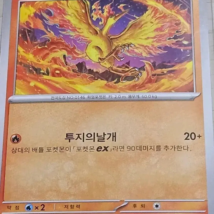 [BUNJANG] Pokemon TCG Articuno, Zapdos, Moltres Set / 포켓몬카드 파이어, 썬더, 프리져 세트 [10%할인]