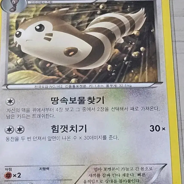 [BUNJANG] Pokemon Card Charizard, Charmeleon / 포켓몬 카드 꼬리선, 다꼬리 [10%할인]
