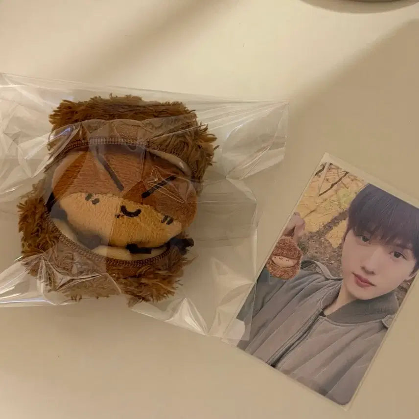 [BUNJANG] NCT Dream Jisung Gunbamman Doll Keychain with Photocard / 엔시티드림 지성 군밤맨 인형 키링 포카 포함 양도 jisung nct dream