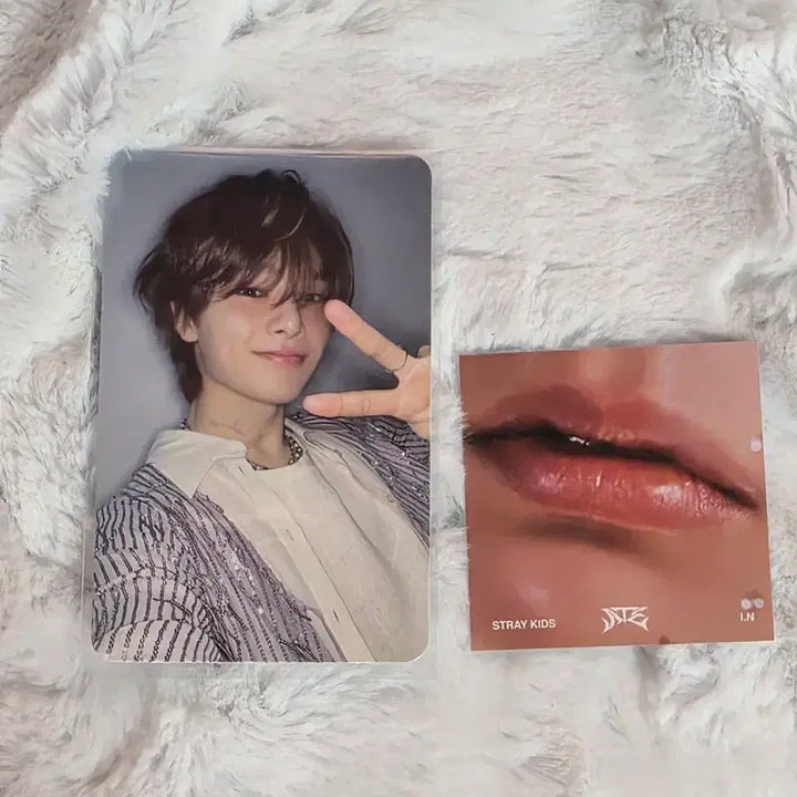 [BUNJANG] Stray Kids I.N. Ateez Accordion Photocard / 스트레이키즈 아이엔 에이트 아코디언