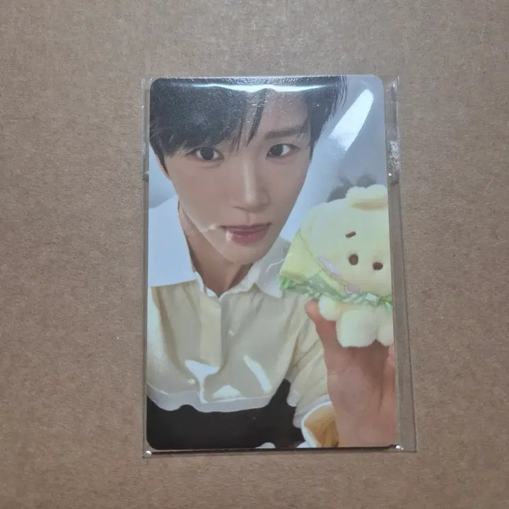 [BUNJANG] WISHNINI Dandy Rini Large Hug Cushion Photocard / 위시니니 댕트리니 대형 허그 쿠션 포카