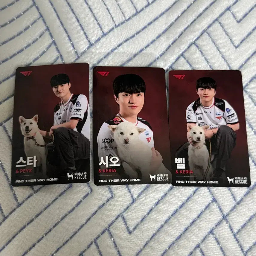 [BUNJANG] T1 Faker Keria Phase 3 Photocard Set / T1 페이즈 케리아 포토카드 3종 세트