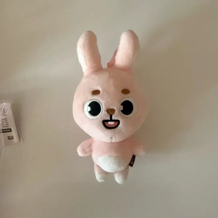 [BUNJANG] Day6 Young K (Pilkk) Denimals Plush / 데이식스 인형 필끼 데니멀즈 데멀 필끼 2024