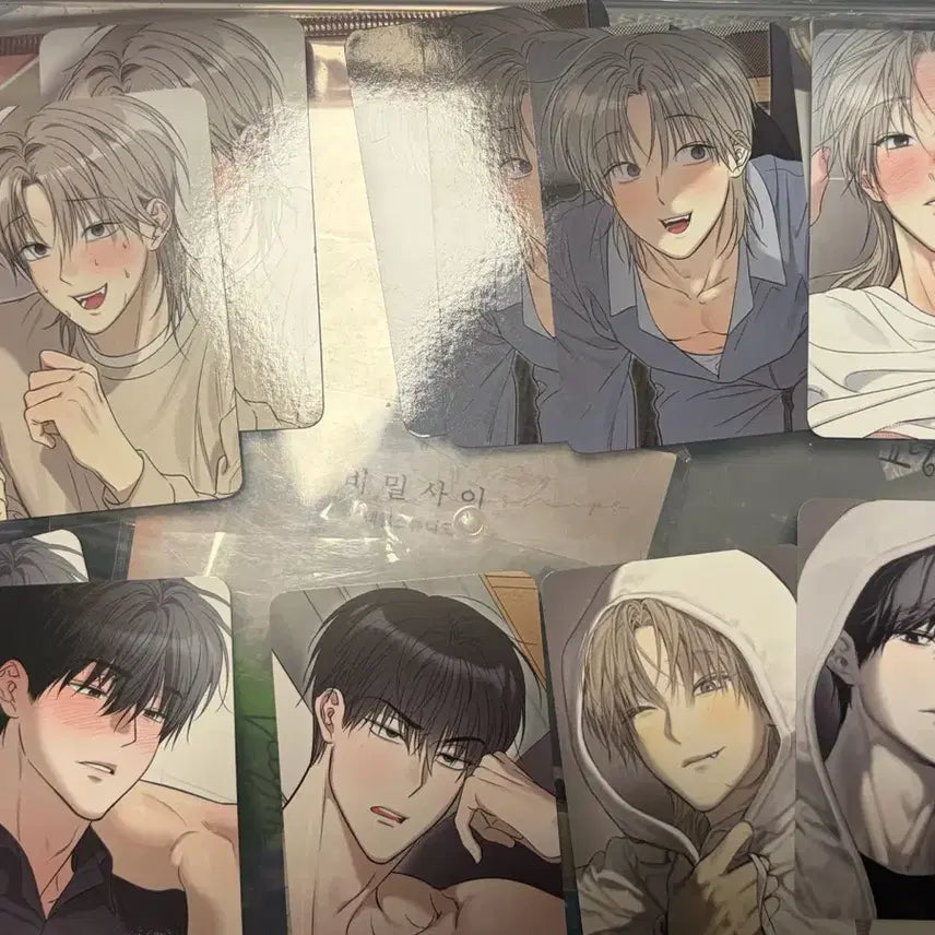 [BUNJANG] Bundle Set Photocards / 사용후반품불가 사반불 월간포카 일괄