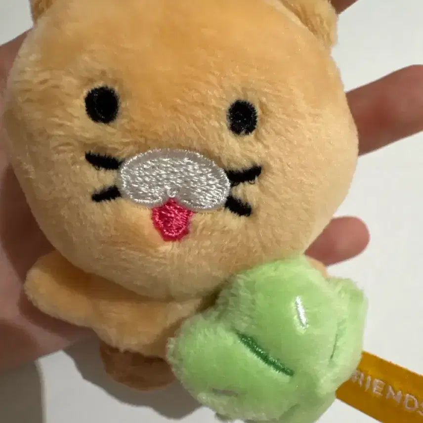 [BUNJANG] Choonsik Plush Doll / 춘식이 인형